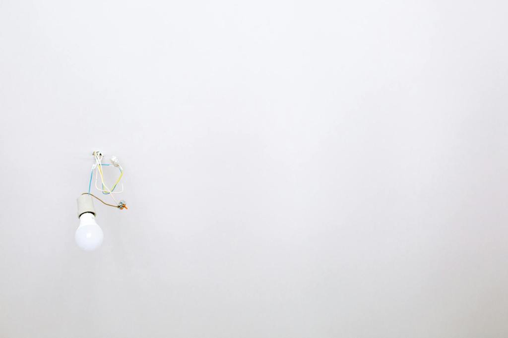 เรื่องเล่าจากสายไฟที่ยุ่งเหยิง