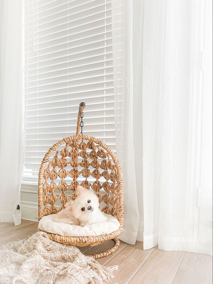 Pet-Friendly Home ออกแบบบ้านให้ลงตัว ทั้งสำหรับคุณ และเพื่อนสี่ขา